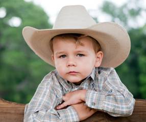 Young Cowboy