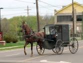 Amish