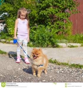little-girl-walking-her-dog-leash-image-has-attached-release-35902741