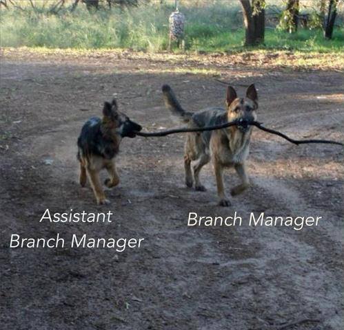 10 - Branch Manager