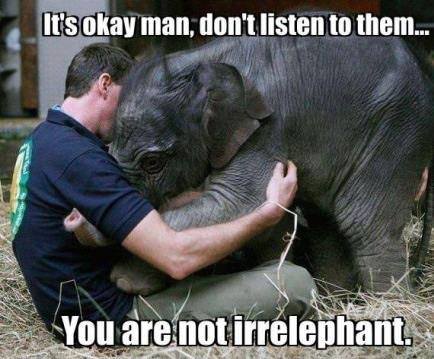 12 - Irrelephant