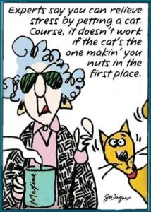 funny-maxine-comics-21