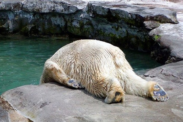 hungover1