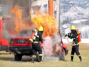 firefighters-demonstrating-their-skills-on-annual-fire-brigade-day
