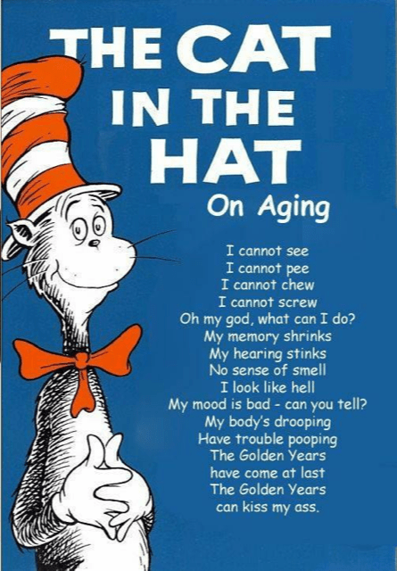 Cat In The Hat