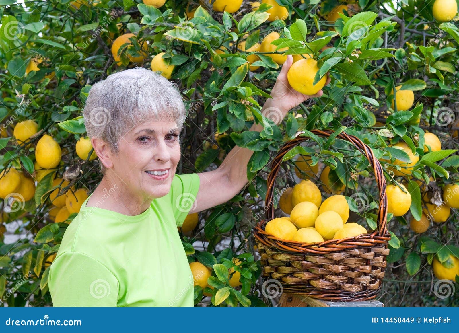 Day Brightener – Picking Lemons | Loren Berg's Blog